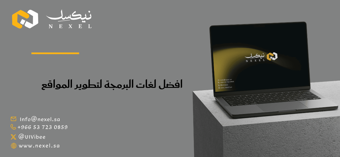 The best programming languages ​​for website development